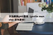 华为眼镜gm1墨镜（gentle monster 华为墨镜）