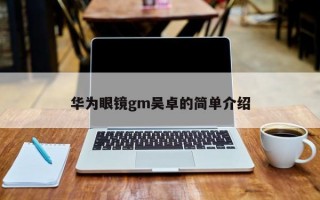 华为眼镜gm吴卓的简单介绍